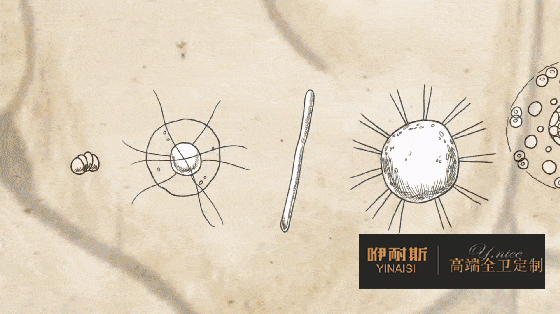 人的雙手上至少潛伏著 40 多萬細菌 人的雙手上至少潛伏著 40 多萬細菌